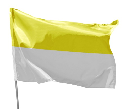 flaga papieska.jpg
