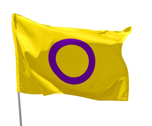 f7.jpg